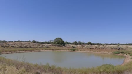. Gradgery Lane Warren NSW 2824 - Image 3
