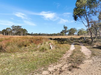 Lot 238 Rosehill Road Bombala NSW 2632 - Image 1