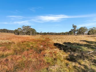 Lot 238 Rosehill Road Bombala NSW 2632 - Image 3