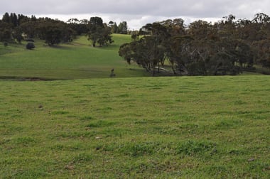 Bundaleer Gardens SA 5491 - Image 1