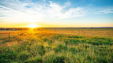 2971 Bushell Lane Roma QLD 4455 - Image 1