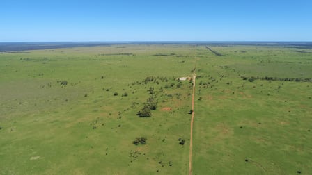 "Bonavista" 13724 Mitchell - St George road Roma QLD 4455 - Image 1