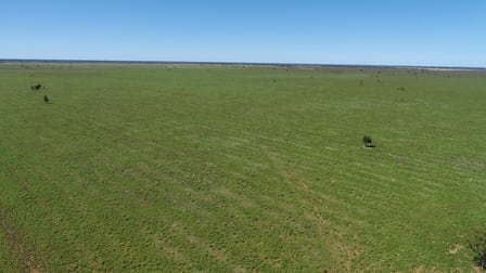 "Bonavista" 13724 Mitchell - St George road Roma QLD 4455 - Image 3