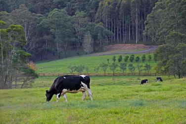 18 Bassett Road Barrengarry NSW 2577 - Image 2