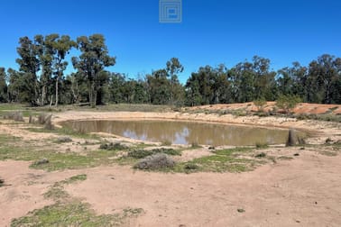 933 Nuable Road Yarrie Lake NSW 2388 - Image 2