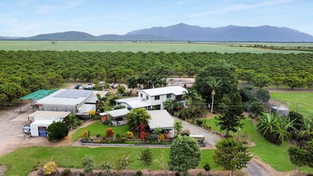 232-240 Bartlett Road Horseshoe Lagoon QLD 4809 - Image 1