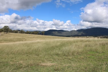 2313 Jerrys Plains Road Jerrys Plains NSW 2330 - Image 2