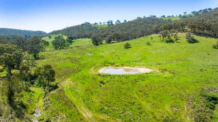 486 Urana Road Lavington NSW 2641 - Image 2