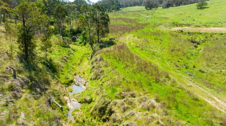 486 Urana Road Lavington NSW 2641 - Image 3