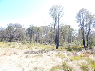 Lot 102 Badja Road Countegany NSW 2630 - Image 2