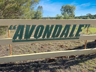"Avondale" 1911 Cannards Road Binya NSW 2665 - Image 2