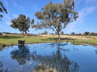2527 Sofala Road Wiagdon NSW 2795 - Image 1