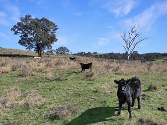 2527 Sofala Road Wiagdon NSW 2795 - Image 2