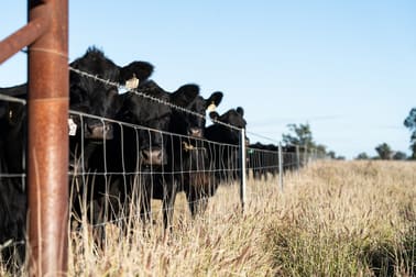 Sandhurst/3769 Quambone Rd Coonamble NSW 2829 - Image 2