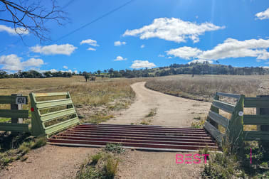 426 Mount Rankin Road Mount Rankin NSW 2795 - Image 3