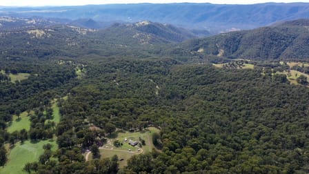 1465-1563 Billirimba Road Tenterfield NSW 2372 - Image 2
