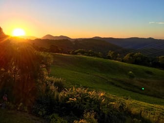 658 Trees Road Tallebudgera QLD 4228 - Image 2