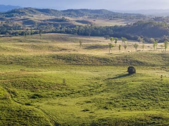 822 Rosehill Road Takilberan QLD 4671 - Image 3