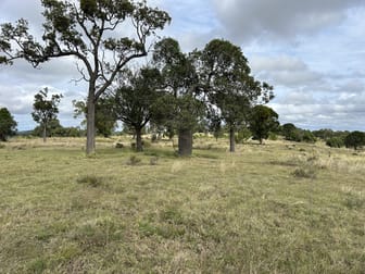 Lot 223 Oakey Cooyar Road Kulpi QLD 4352 - Image 2