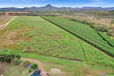 994 Leafgold Weir Road Dimbulah QLD 4872 - Image 2