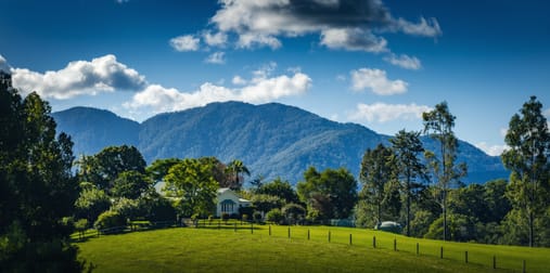 464 Hydes Creek Road Bellingen NSW 2454 - Image 3