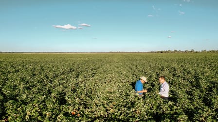 The Meadows & JK Aggregation, 655 Moonie Highway Dalby QLD 4405 - Image 2