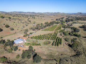 495 Wilson Valley Road Wilson Valley QLD 4625 - Image 2