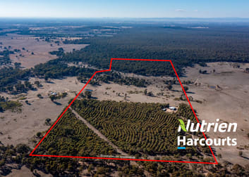 Lot 2 Forest Road Killawarra VIC 3678 - Image 1