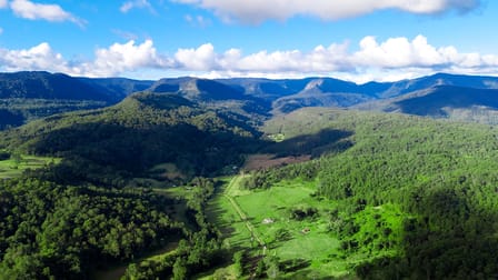160 Warrazambil Creek Road, Warrazambil Creek Via Kyogle NSW 2474 - Image 3