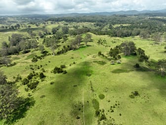 355 Doyles River Road Elands NSW 2429 - Image 1