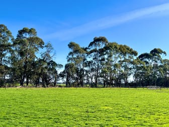 Cobden-South Ecklin Road Cobden VIC 3266 - Image 3