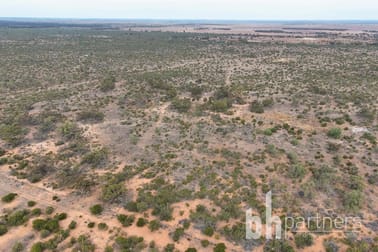 Lot 10 Stott Highway Swan Reach SA 5354 - Image 1