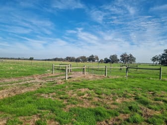 916 Chapman Hill Road Chapman Hill WA 6280 - Image 3