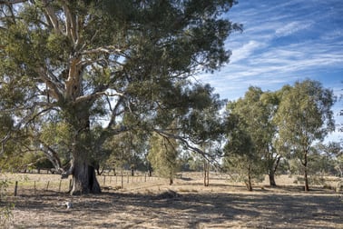 CA29 Golden Vale Road Benalla VIC 3672 - Image 1