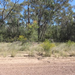Lot/113 Lewington Road Tara QLD 4421 - Image 1