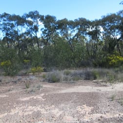 Lot/113 Lewington Road Tara QLD 4421 - Image 2