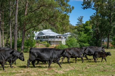 227 Cherry Creek Road Cherry Creek QLD 4314 - Image 3