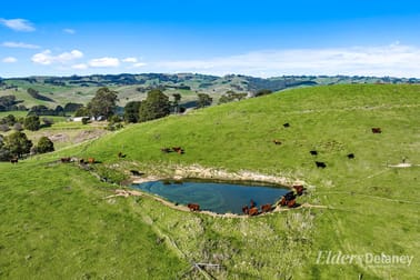 8 Curwen Road Mountain View VIC 3988 - Image 3