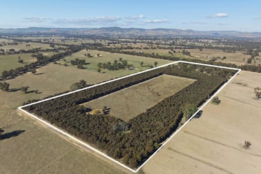 3713 Murchison-Violet Town Road Violet Town VIC 3669 - Image 3