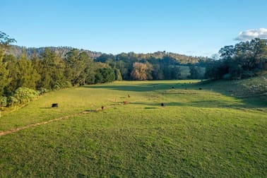 1021 South Arm Road South Arm NSW 2449 - Image 1