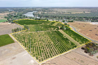 615 Delta Road Curlwaa NSW 2648 - Image 1