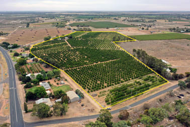 615 Delta Road Curlwaa NSW 2648 - Image 2