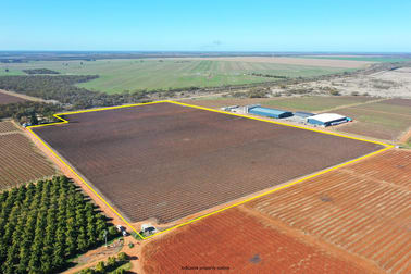 Lot 2 PS507823 Anzac Road Robinvale VIC 3549 - Image 1