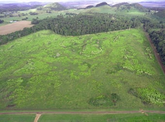 Lot 201/82 Davis Road Yungaburra QLD 4884 - Image 1