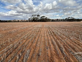 Lot 308 Burton Road Ambania WA 6632 - Image 1