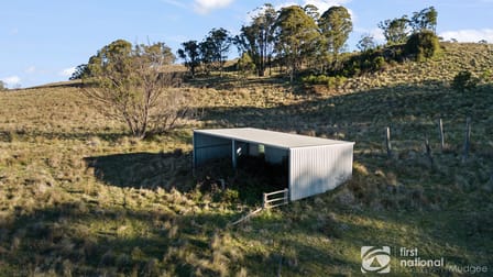 1513 Nullo Mountain Road Rylstone NSW 2849 - Image 3