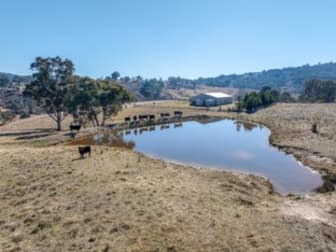 Click to view all images 133 Wangalo Road Peelwood NSW 2583 - Image 1