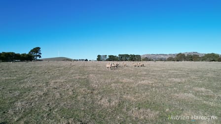 CA7 Beaufort-Waubra Road Glenbrae VIC 3352 - Image 3