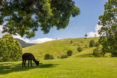 Mount Delaney QLD 4514 - Image 1