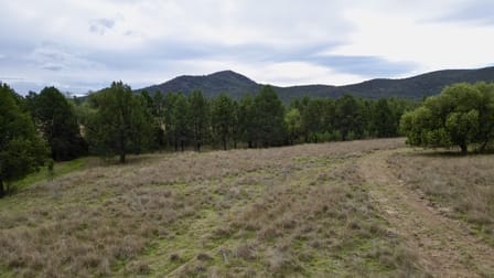 415 Tudgey Road Gunnedah NSW 2380 - Image 3